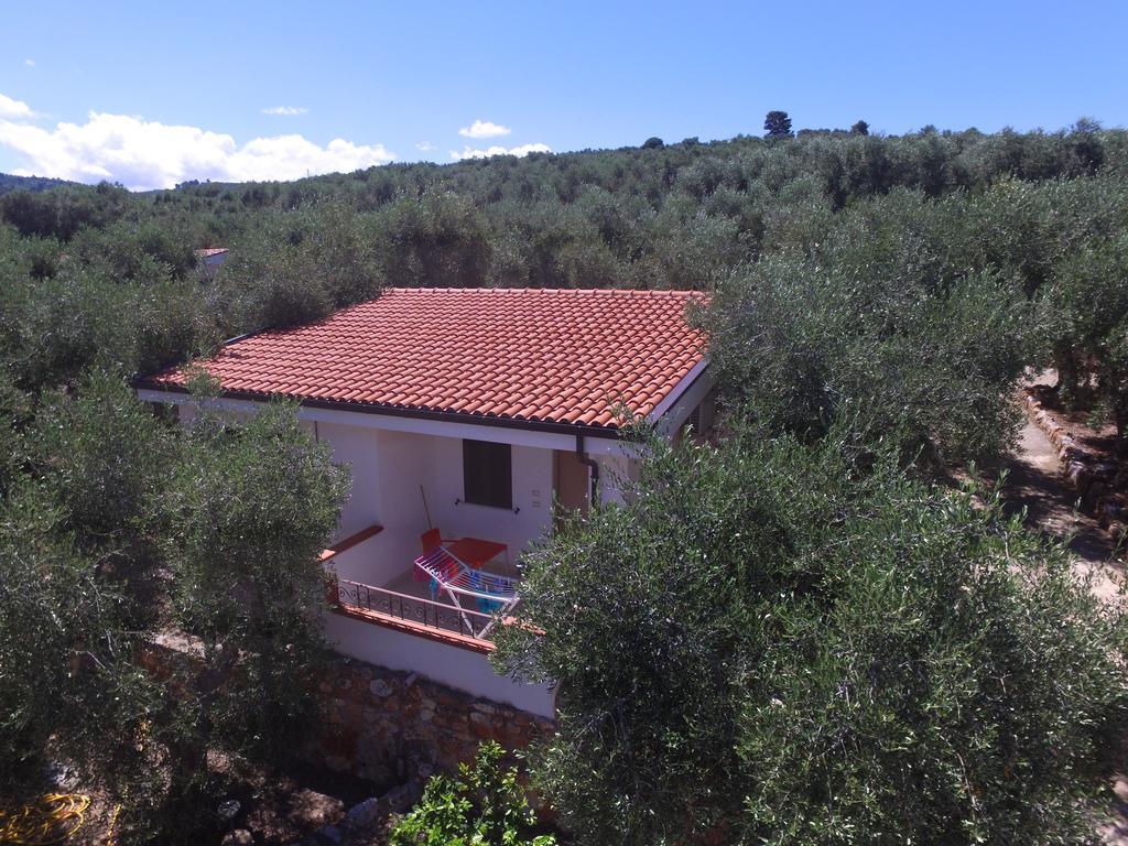 Zagare Residence Rodi Garganico Exterior foto